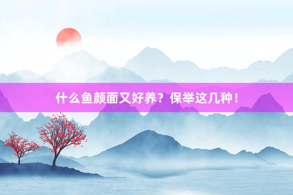 什么鱼颜面又好养？保举这几种！