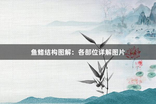 鱼鳍结构图解：各部位详解图片