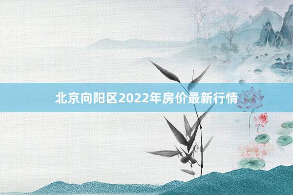 北京向阳区2022年房价最新行情